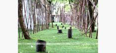 浙江省XXX市建筑設(shè)計(jì)。